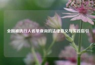全国被执行人名单查询的法律意义与实践指引