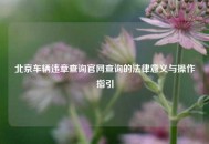北京车辆违章查询官网查询的法律意义与操作指引