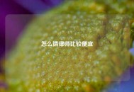 怎么请律师比较便宜
