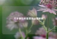 汽车保险年度费用法律解析