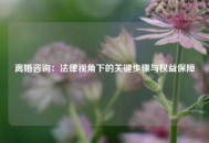 离婚咨询：法律视角下的关键步骤与权益保障