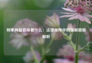 刑事拘留意味着什么：法律程序中的强制措施解析