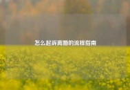 怎么起诉离婚的流程指南