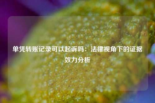 单凭转账记录可以起诉吗:法律视角下的证据效力分析