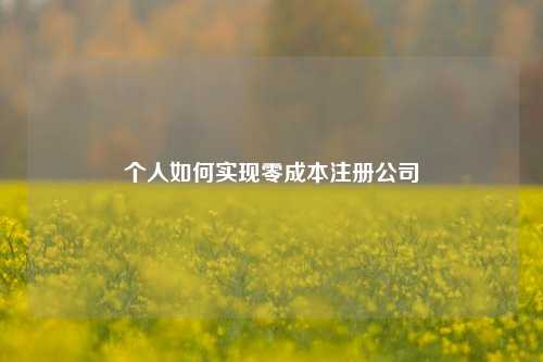 个人如何实现零成本注册公司