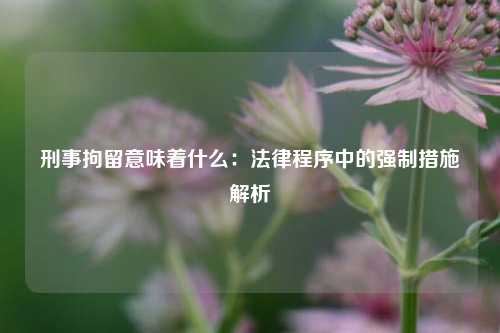 刑事拘留意味着什么：法律程序中的强制措施解析