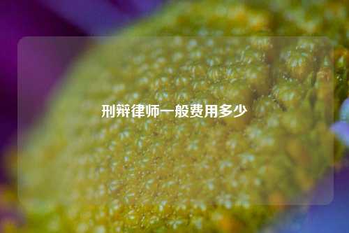 刑辩律师一般费用多少