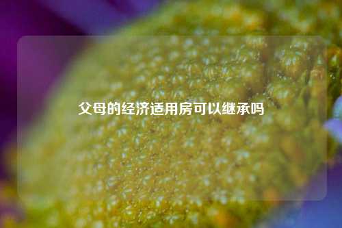 父母的经济适用房可以继承吗