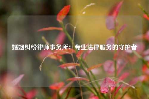 婚姻纠纷律师事务所：专业法律服务的守护者