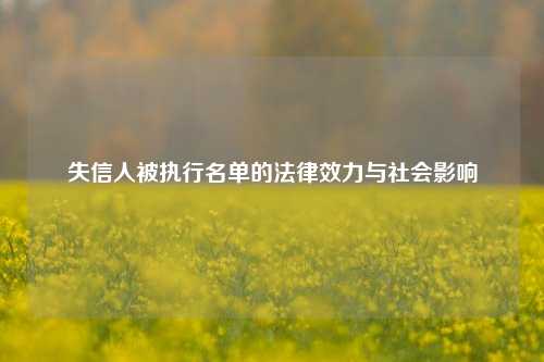 失信人被执行名单的法律效力与社会影响