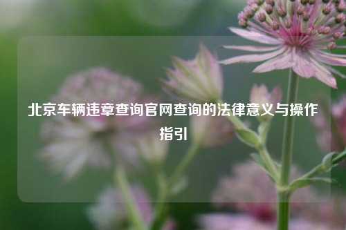 北京车辆违章查询官网查询的法律意义与操作指引