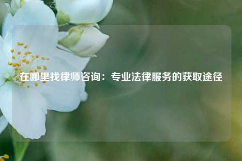 在哪里找律师咨询：专业法律服务的获取途径