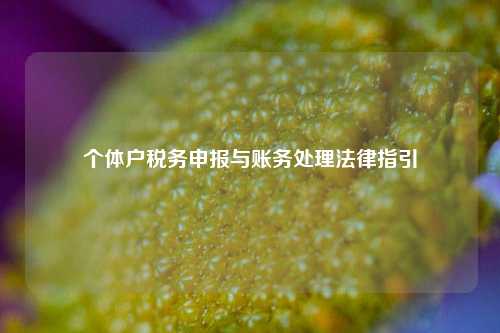 个体户税务申报与账务处理法律指引