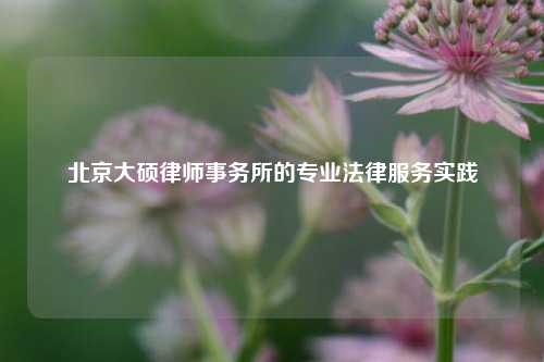 北京大硕律师事务所的专业法律服务实践